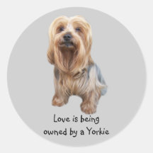 Autocollant tellement mignon de Yorkshire Terrier