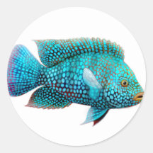 Autocollant vert de Cichlid du Texas