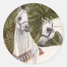 Autocollants Arabes de cheval de palmeraie