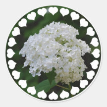 Autocollants blancs d'hortensias