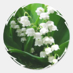 Autocollants blancs du muguet