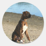 Autocollants Brindle de chiot de boxeur