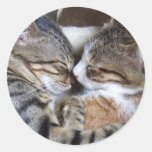 Autocollants d'amour de chat