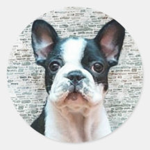 Autocollants de bouledogue français