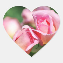 Autocollants de bourgeon de rose de rose