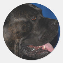 Autocollants de chien de Corso de canne
