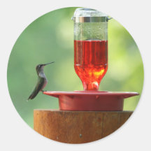 Autocollants de colibri