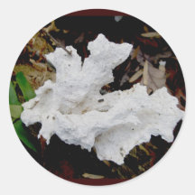 Autocollants de corail de champignon d'étagère