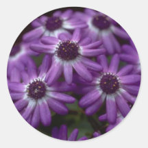 Autocollants de fleur