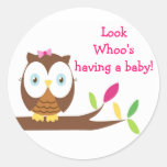 Autocollants de hibou Whoo