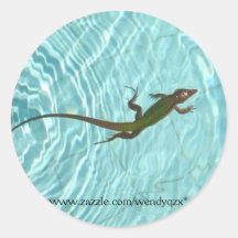 Autocollants de lézard de natation
