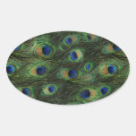 Autocollants de paon de bleu royal de vert vert