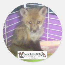 autocollants de renard de bébé