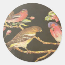 Autocollants d'oiseau de chanson