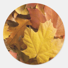 Autocollants d'or de feuille de collection d'autom