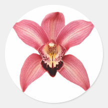 Autocollants d'orchidée