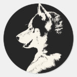 Autocollants enroués de Malamute de chien de traîn