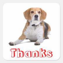 Autocollants mignons de salutation de chiot de bea