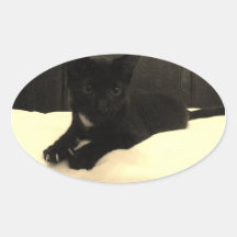 autocollants noirs de minou
