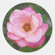 Autocollants roses 002