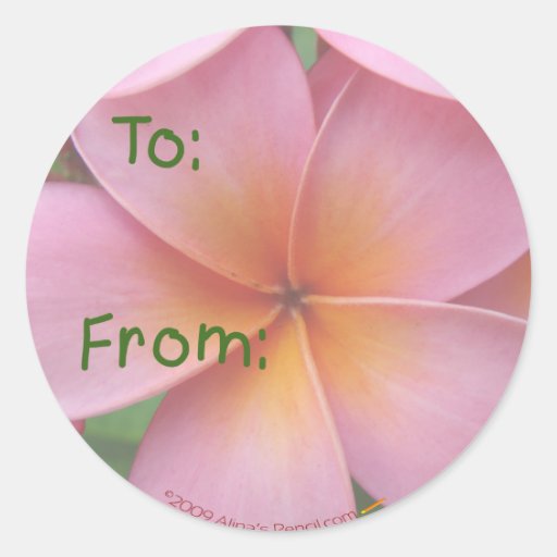 Autocollants roses d'étiquette de cadeau de Plumer
