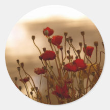 Autocollants rouges de fleur de pavots au soleil