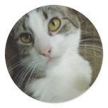 autocollants tristes de yeux autocollants