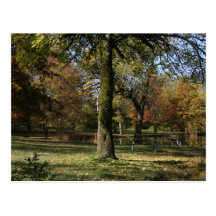 Automne au parc d'état de lac Benson Carte Postale