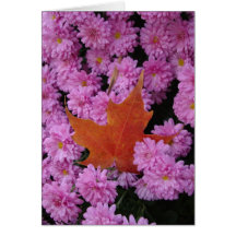 Automne bienvenu ! carte de vœux