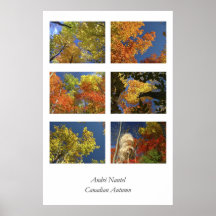 Automne canadien posters