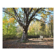 Automne chez Woldumar Photo