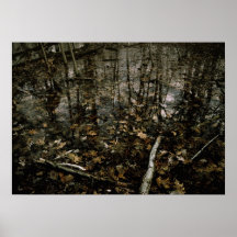Automne de pluie affiches