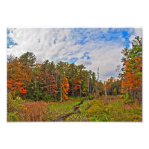 Automne du nord-est photos d’art