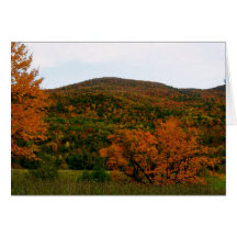 Automne du Vermont Cartes De Vœux