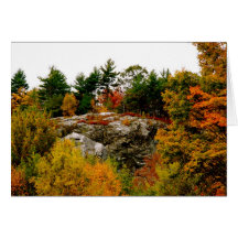 Automne du Vermont Cartes De Vœux