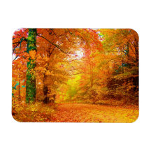 Automne du Vermont Magnets