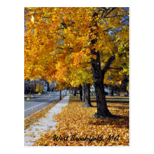 Automne en carte postale de la Nouvelle Angleterre