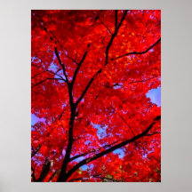Automne en feu poster