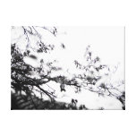 automne impression sur toile