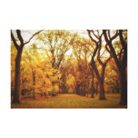 Automne - New York City Toile Tendue
