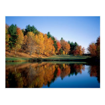 Automne paisible au Vermont Cartes Postales