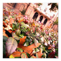 Automne Photos Sur Toile