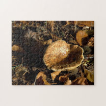 Automne Puzzles