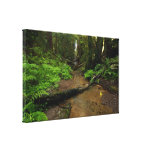 Automnes de crique de baie impression sur toile