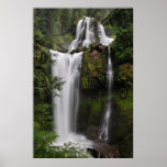 Automnes de crique de chute affiches