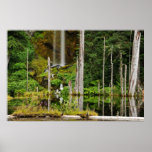 Automnes de lac june affiche