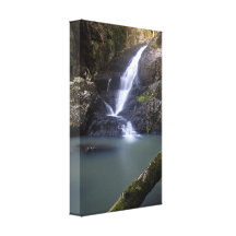 Automnes Queensland de Cedar Creek de cascade Impressions Sur Toile