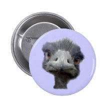 Autruche Badges Avec Agrafe