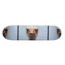 Autruche Skateoard Personnalisé