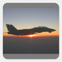 Avion de chasse de F 14 Tomcat Autocollants